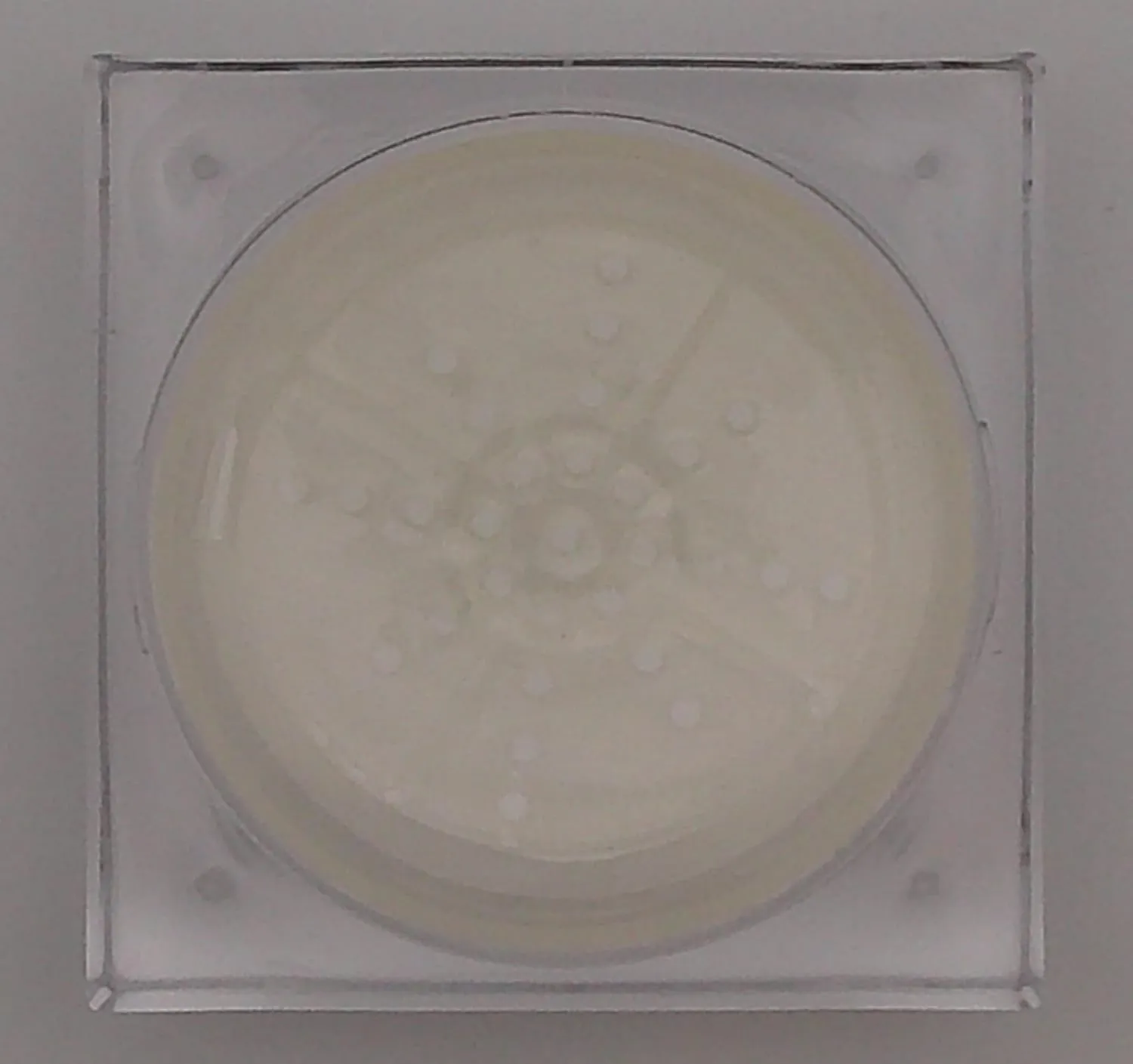 | Loose Setting Powder with Vitamin E | Matte FInish (C Transparent, 4.23 Ounces)