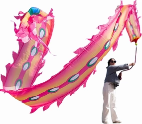 19.6 FT(6 Meters) Rainbow Ribbon Dragon Dance Poi, Outdoor Flinging Fitness Dragon Flowy Toy Silk-like dragon Ribbon Streamer Set with 340g Ball & 1.1 Meters Swing Rope (Pink, 6 Meters (19.6 FT))