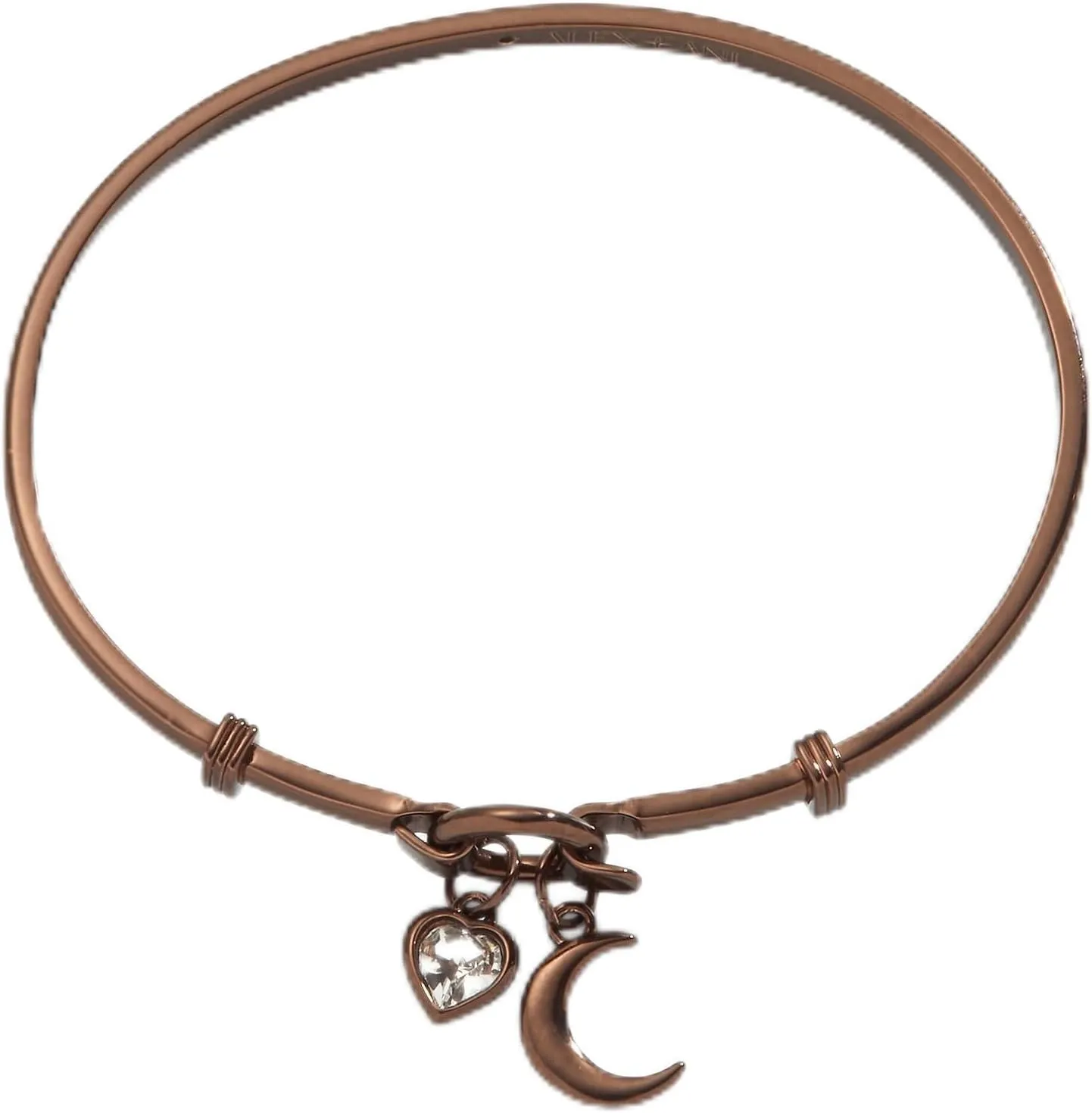 Alex and Ani AA736422SG
