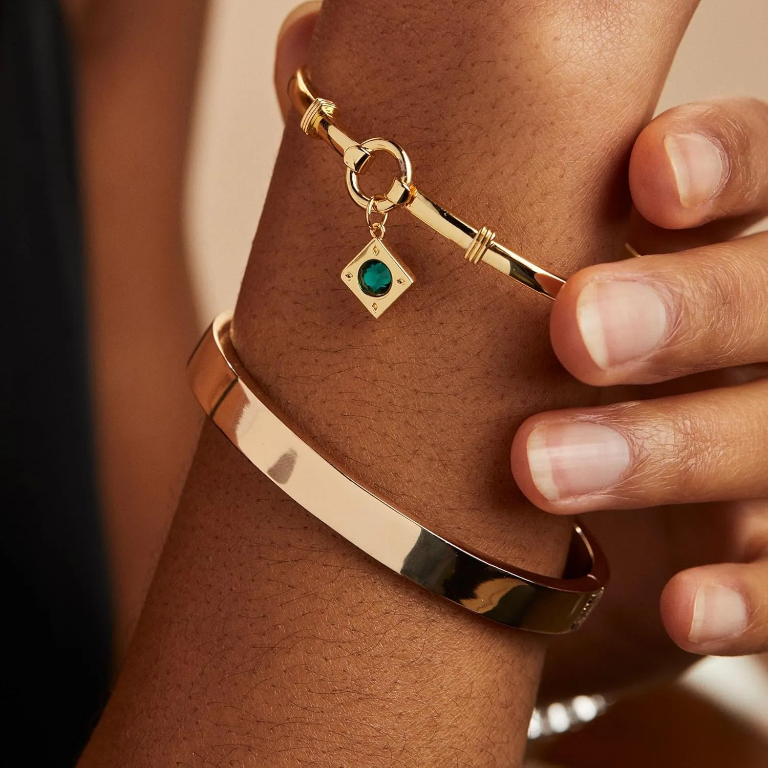 Alex and Ani Crystal Charm Clip Bangle