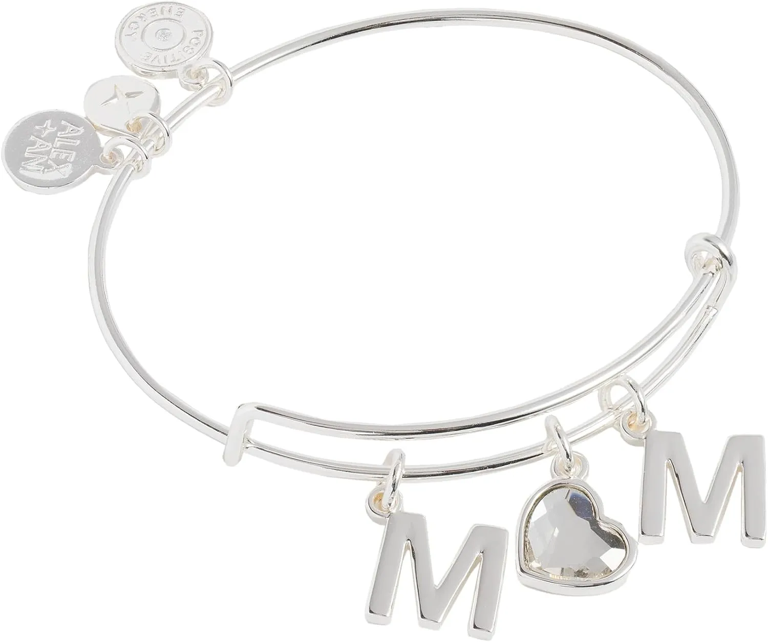 Alex and Ani Multicharm EWB
