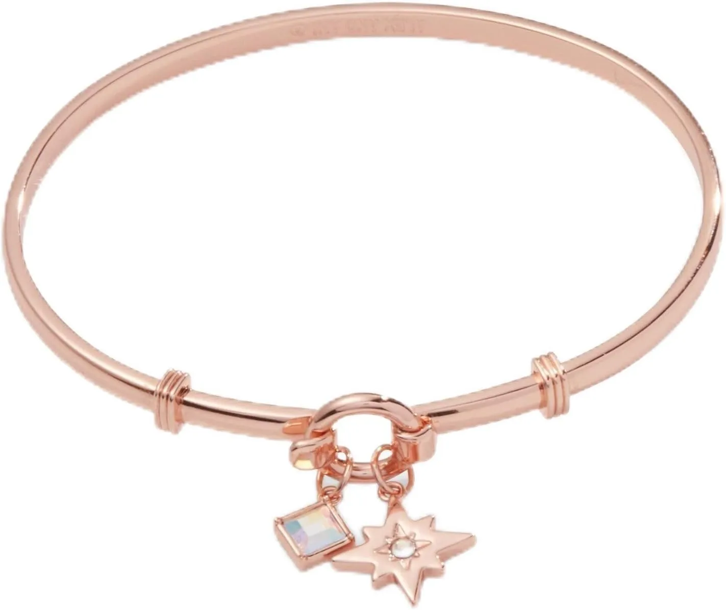 Alex and Ani North Star   Crystal Charm Clip Bangle