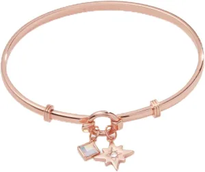 Alex and Ani North Star   Crystal Charm Clip Bangle