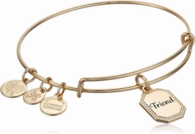 Alex and Ani Because I Love You Friend Expandable Wire Bangle for Women, United by Soul, Let The Good Times Roll Charm, Shiny Antique Gold Finish