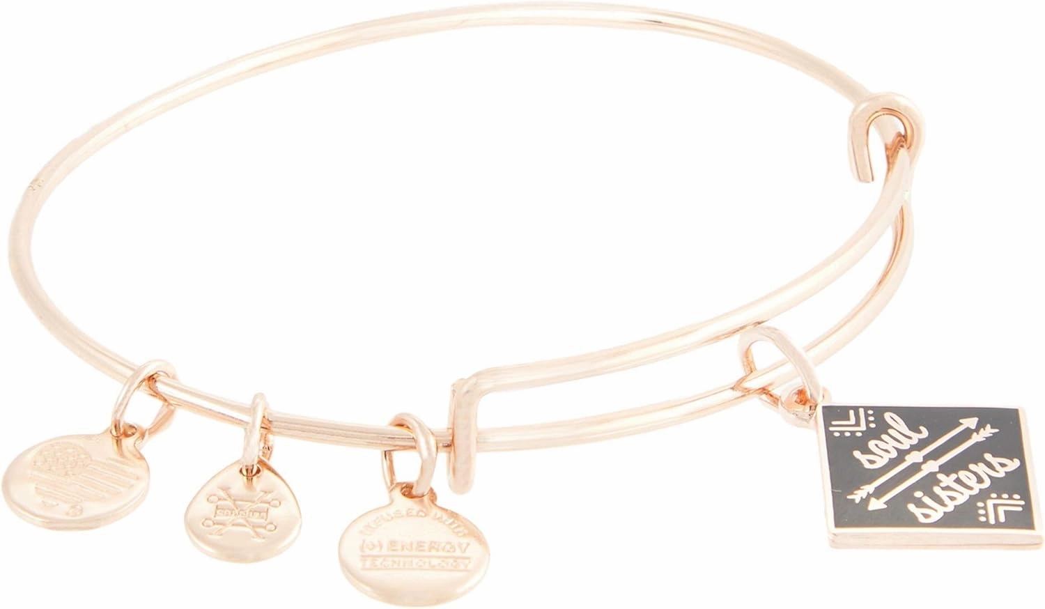 Alex and Ani Color Infusion Soul Sisters Bangle Bracelet