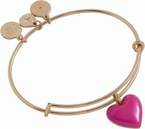 Alex and Ani Enamel Heart Charm Bangle