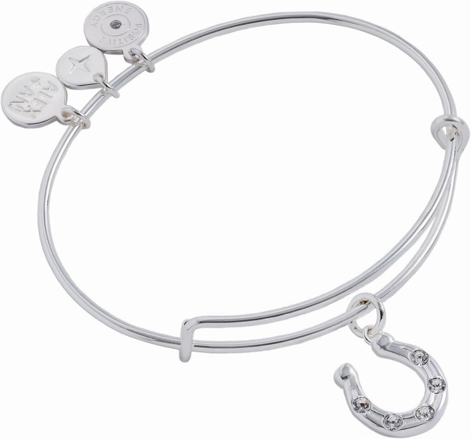 Alex and Ani Horseshoe Charm Bangle