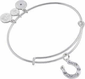 Alex and Ani Horseshoe Charm Bangle