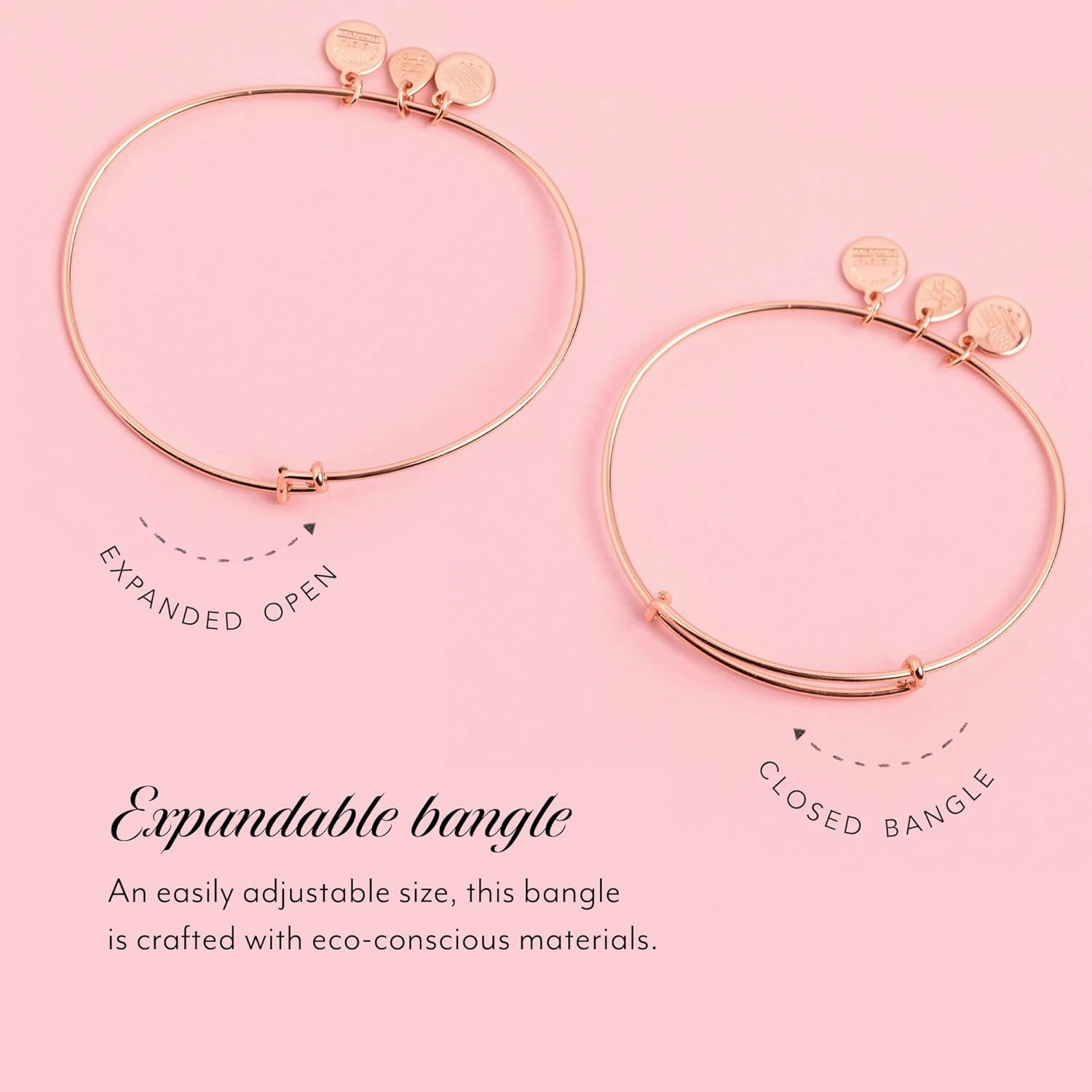 Alex and Ani Love Sign Language Two-Tone Bangle Bracelet