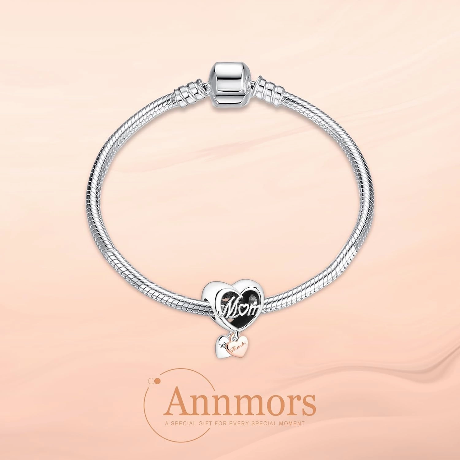 Annmors Jewelry Family Charms for Woman 925 Sterling Silver Dangle Beads with Cubic Zirconia,DIY Jewelry Beads Gifts for Women Bracelet & Necklace