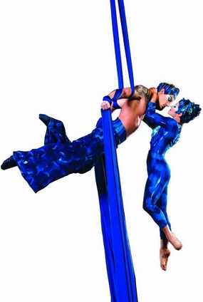 DASKING Aerial Silks Kit for Beginners & Pros - 10Yd Durable Fabric, Pro Safety Hardware & Easy Setup Guide - Yoga Hammock, Swing, Silk Rigging Kit