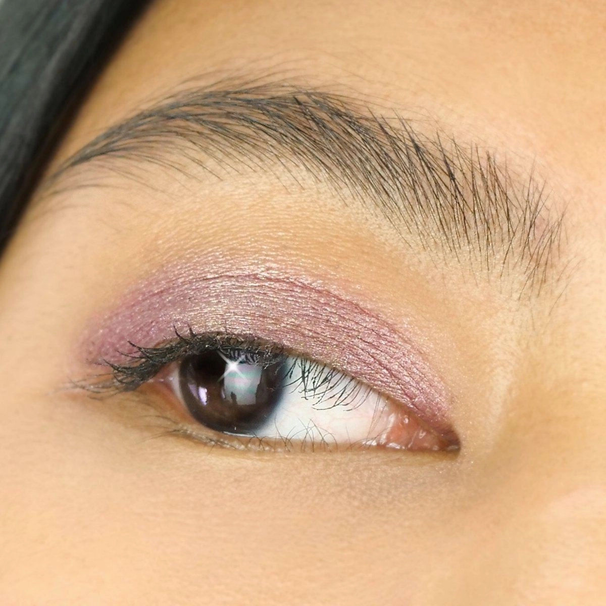 Deal of the hour Eyeshadow PHYTO-PIGMENTS Jelly Hot price drop