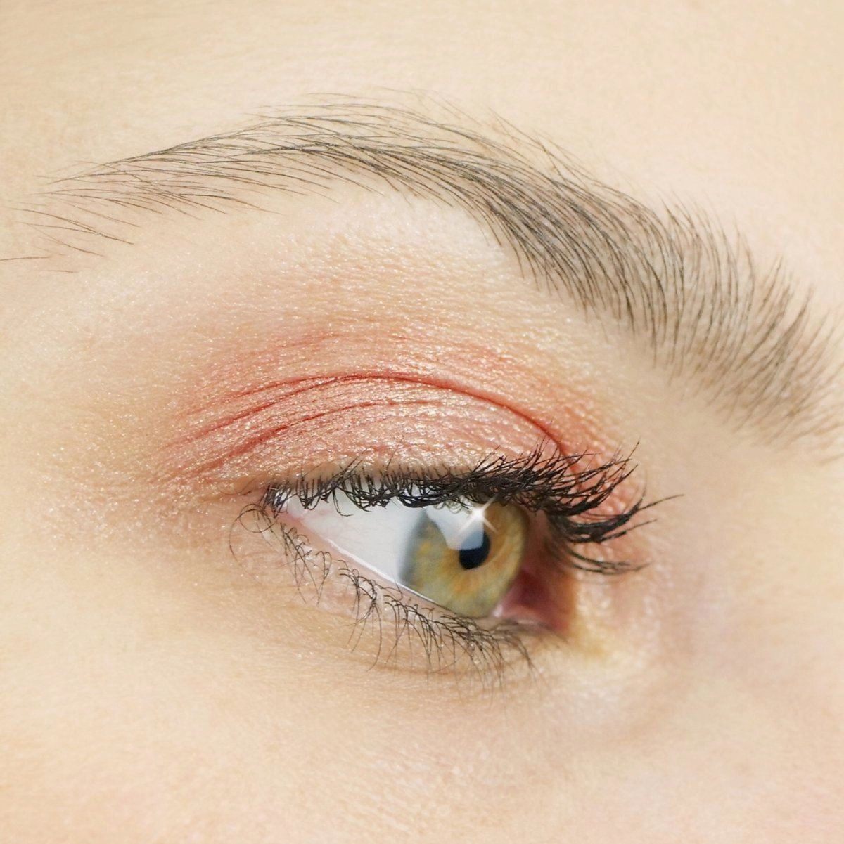 Deal of the hour Eyeshadow PHYTO-PIGMENTS Jelly Hot price drop