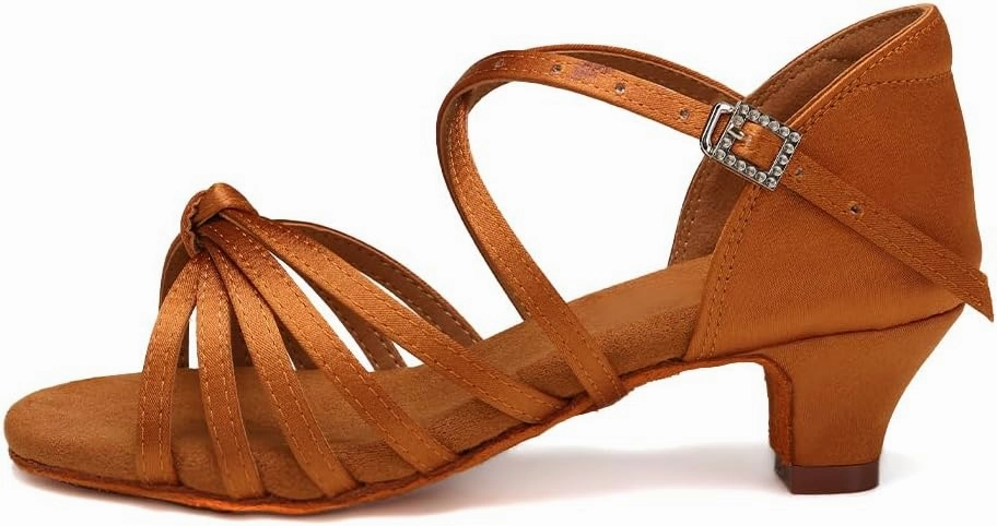 HIPPOSEUS Women's Professional Latin Dance Practice Shoes Open Toe Salsa and Bachata Dancing Shoes Kitten Heel