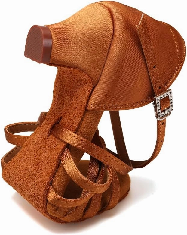 HIPPOSEUS Women's Professional Latin Dance Practice Shoes Open Toe Salsa and Bachata Dancing Shoes Kitten Heel