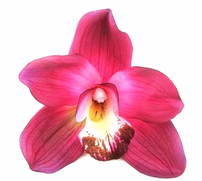 Large Fuchsia Pink Orchid Silk Flower Hair Clip with Teeth