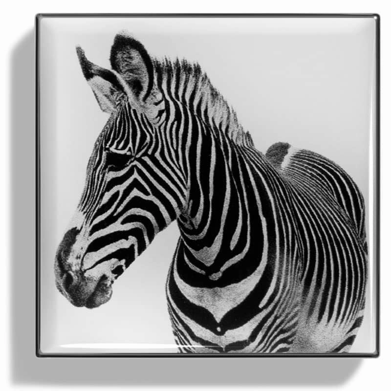 Luminescent Eye Shade - Zebra
