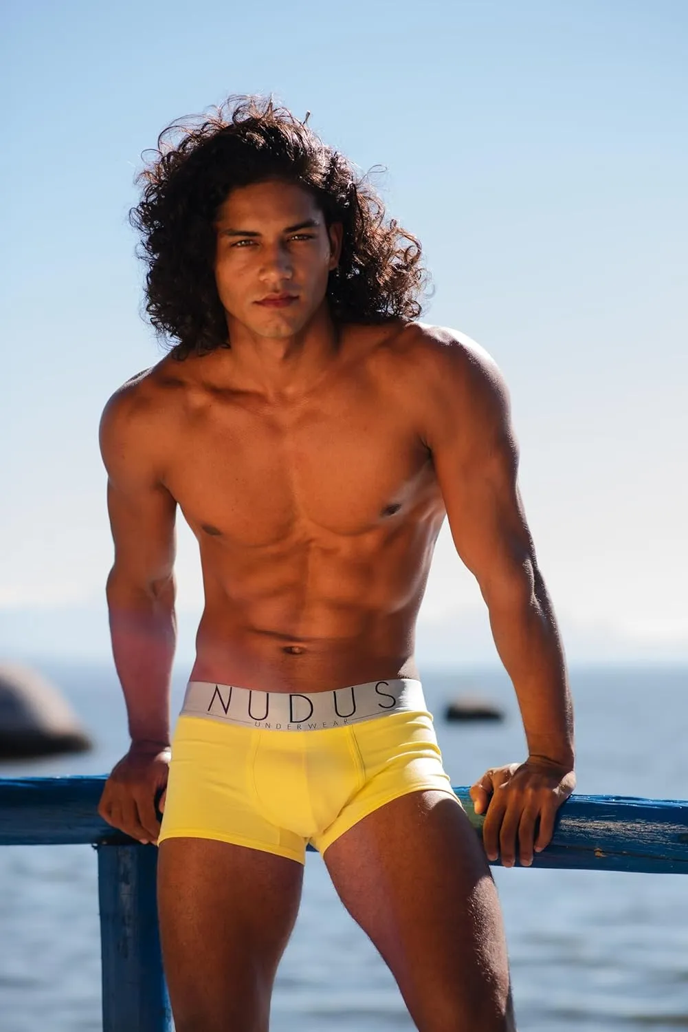NUDUS Men's Cotton Underwear Pack of 4 Gift Box - Briefs - Trunks - Boxer Briefs