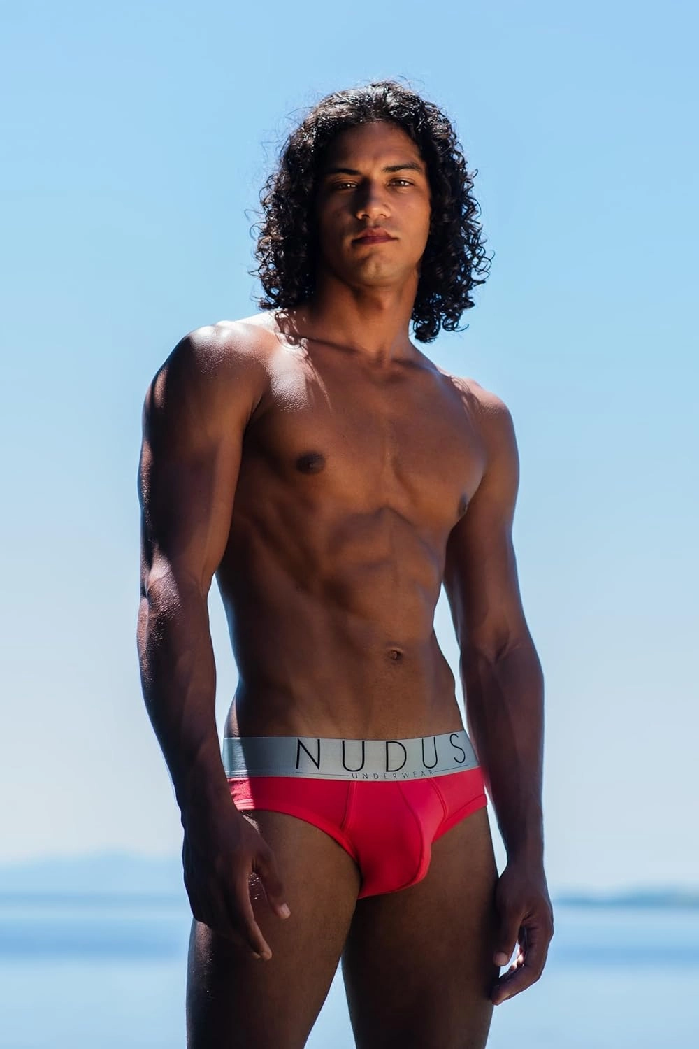 NUDUS Men's Cotton Underwear Pack of 4 Gift Box - Briefs - Trunks - Boxer Briefs