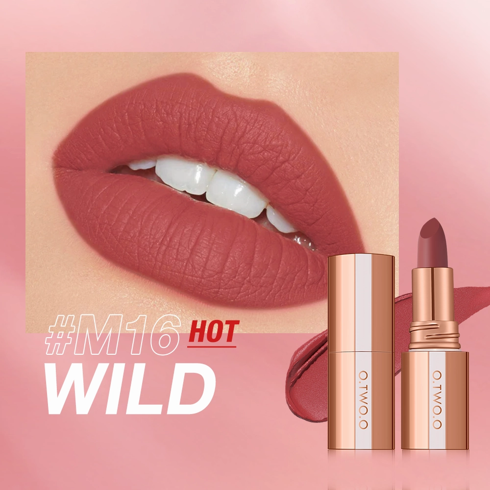 O.TWO.O  Matte Finish Waterproof Long Wear Silky Lipstick Hot Sale in US