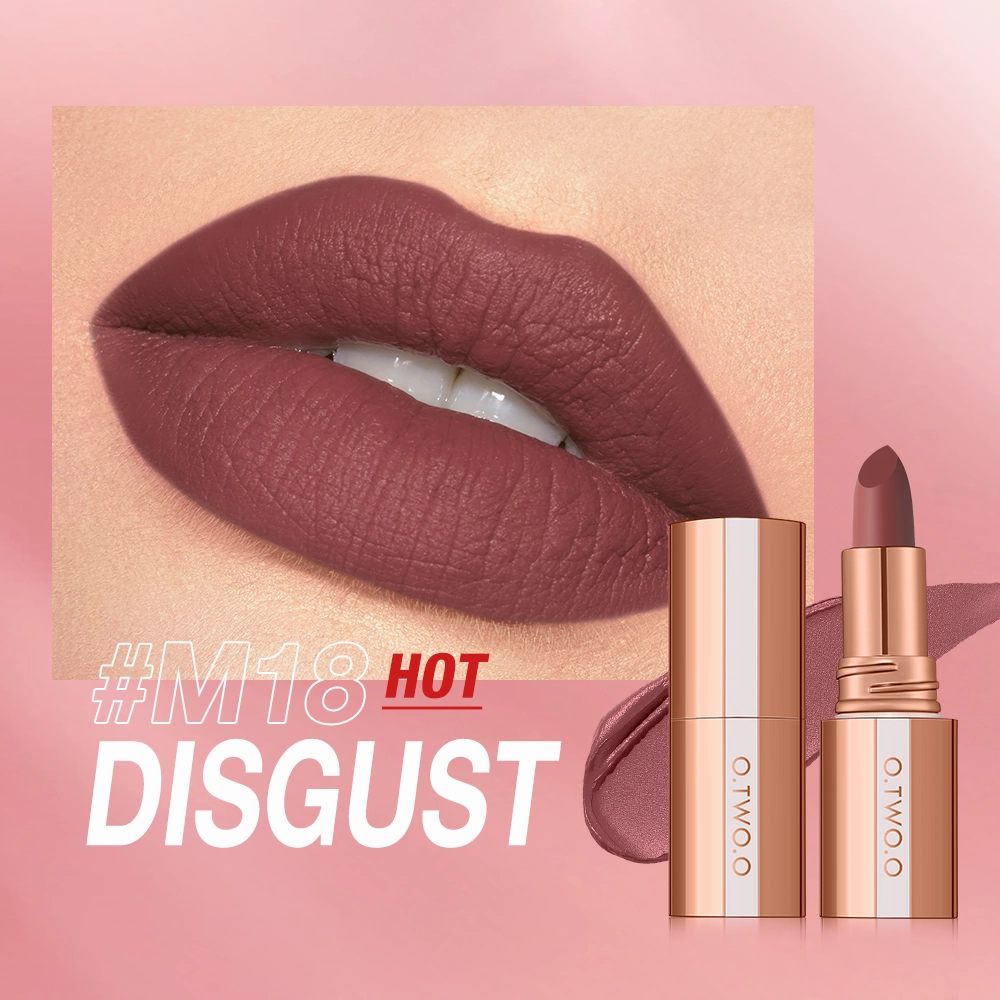 O.TWO.O  Matte Finish Waterproof Long Wear Silky Lipstick Hot Sale in US