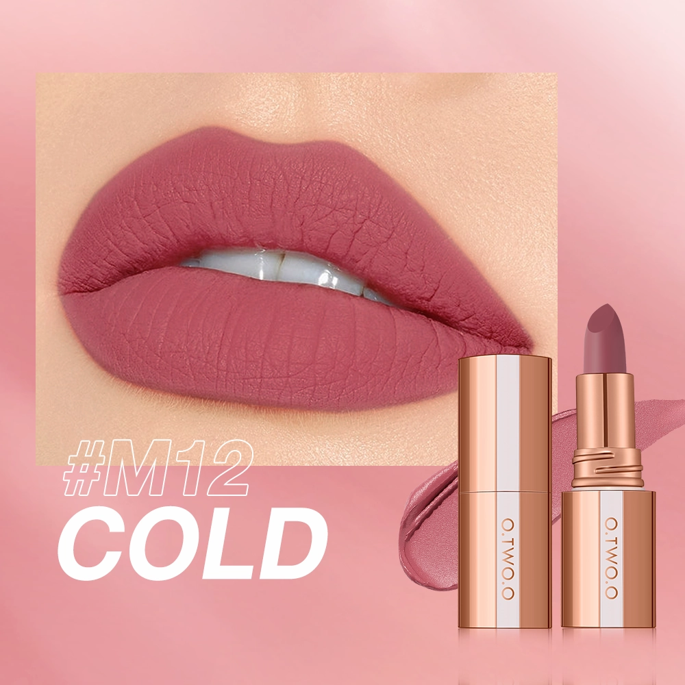 O.TWO.O  Matte Finish Waterproof Long Wear Silky Lipstick Hot Sale in US
