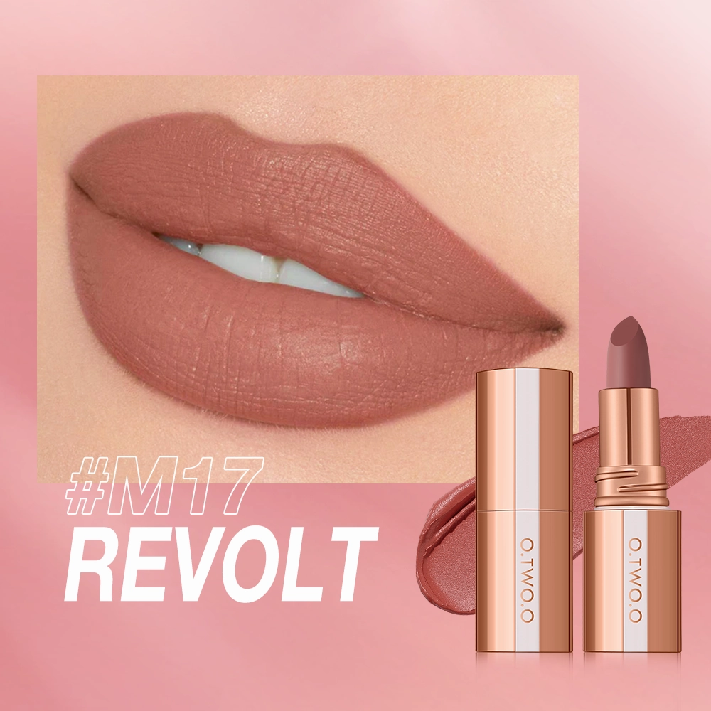 O.TWO.O  Matte Finish Waterproof Long Wear Silky Lipstick Hot Sale in US