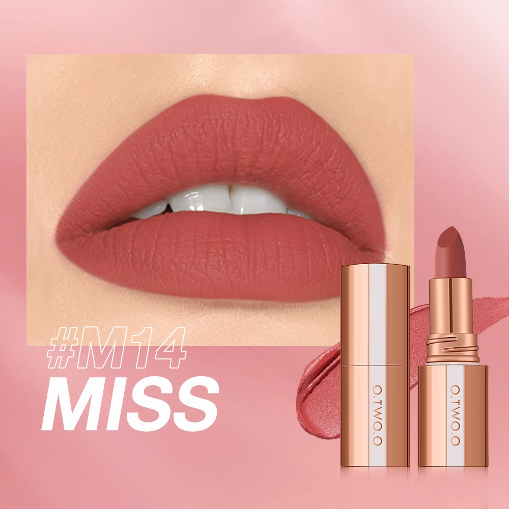O.TWO.O  Matte Finish Waterproof Long Wear Silky Lipstick Hot Sale in US