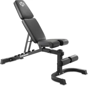 Philosophy Gym Adjustable Weight Bench, Heavy-Duty Flat Incline Decline (FID) Dumbbell Workout Bench for Weightlifting & Exercise - 1500 LB Weight Capacity