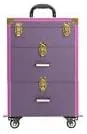 Rolling Makeup Case with wheels Large Cosmetic Organizer wheeled Train Makeup Travel Trolley Case Nail Artist Salon Storage Traveling Cart Trunk Suitcase (Gold Purple)