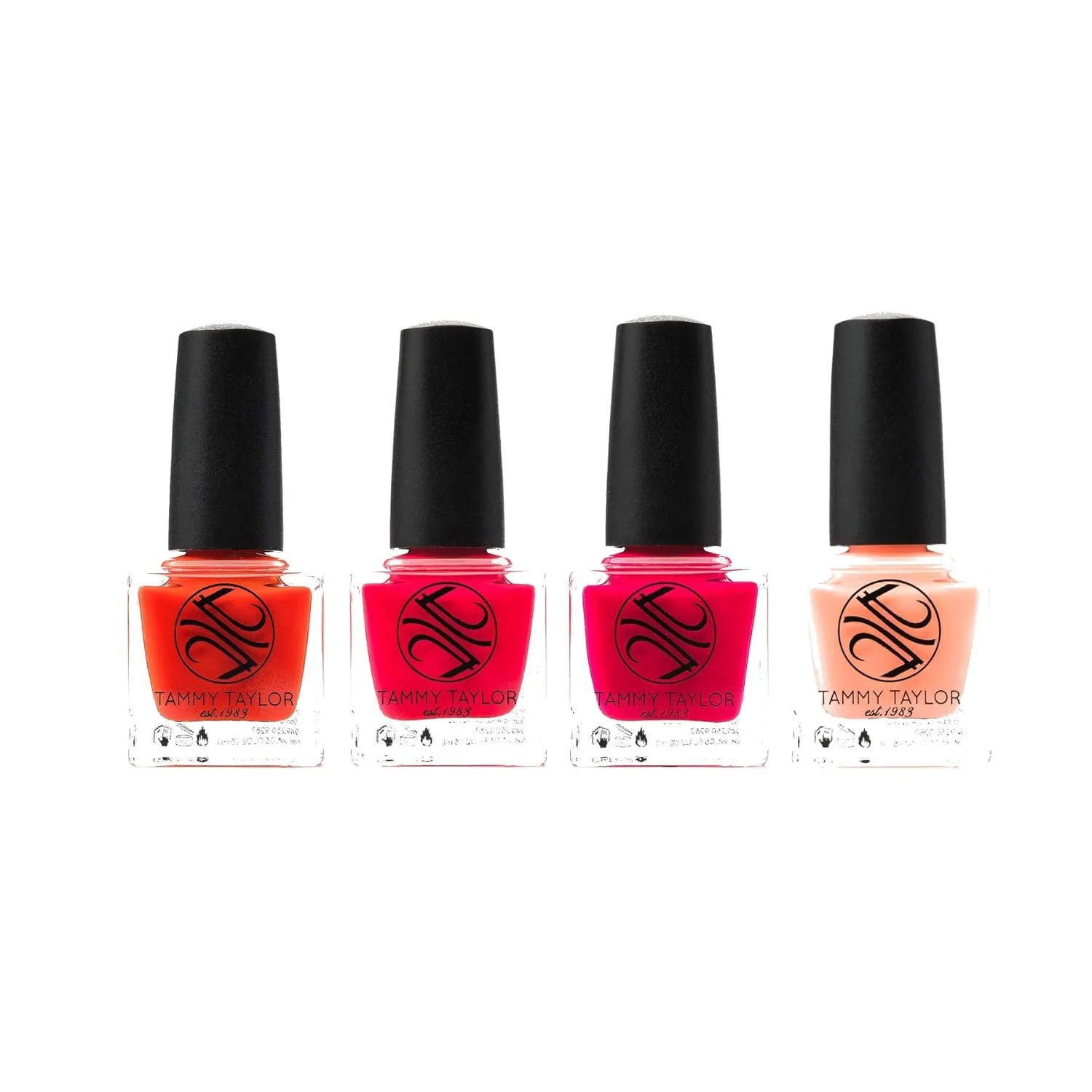 Tammy Taylor Eclectic Summer | Entire Collection Bundle