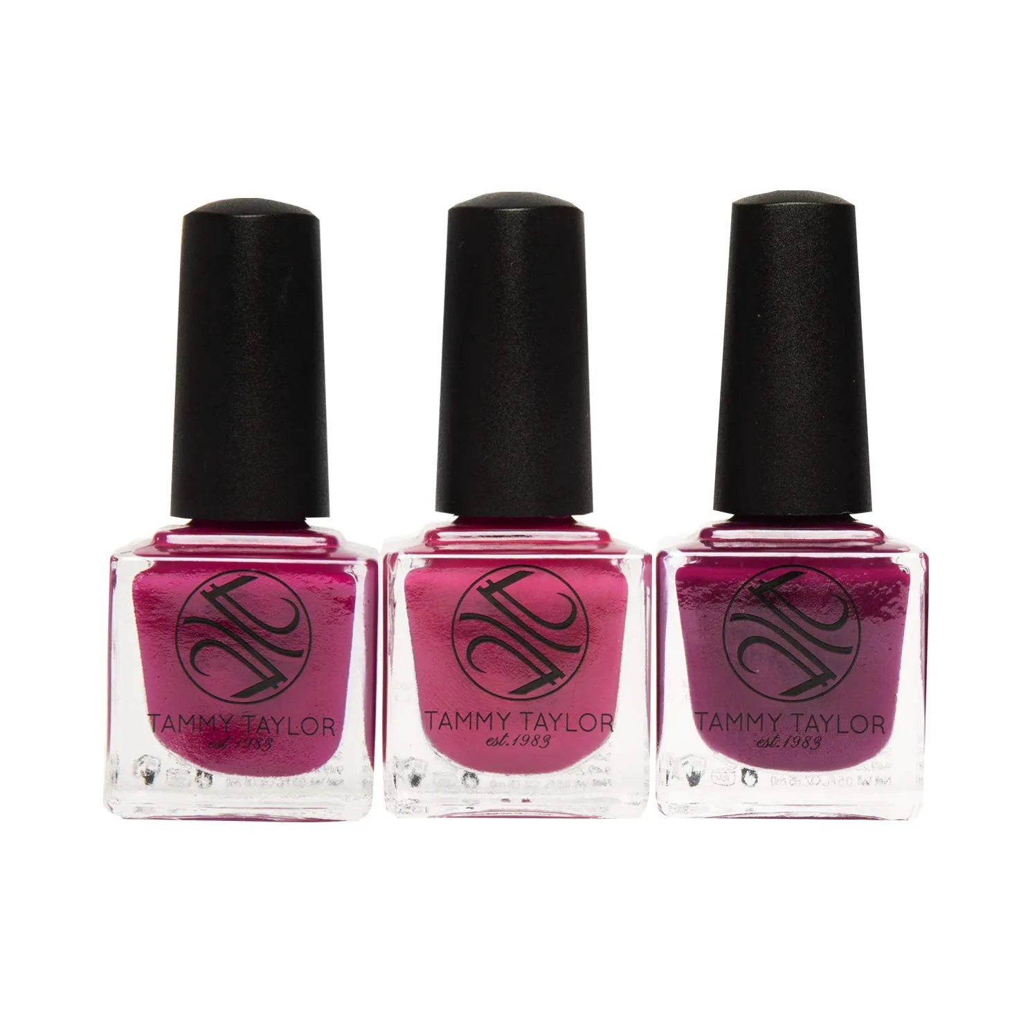 Tammy Taylor Love is All You Need | Entire Collection Bundle