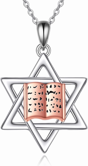 TIGER RIDER Star of David Necklace Sterling Silver Chai Jewish Jewelry for Women Men