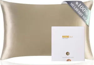 ZIMASILK 100% Pure Mulberry Queen Size Silk Pillowcase for Hair and Skin Health,Soft and Smooth,Both Sides Premium Grade 6A Silk,600 Thread Count,with Hidden Zipper,1pc (20''x30'',Taupe)
